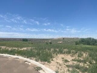 18900 COOL CREEK Drive, Canyon, TX 79015, photo 2