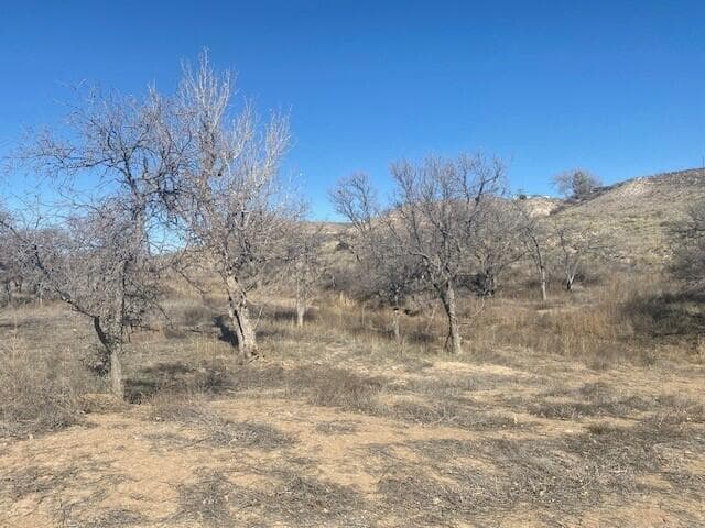 19051 ROCKY CREEK Drive, Canyon, TX 79015, photo 9