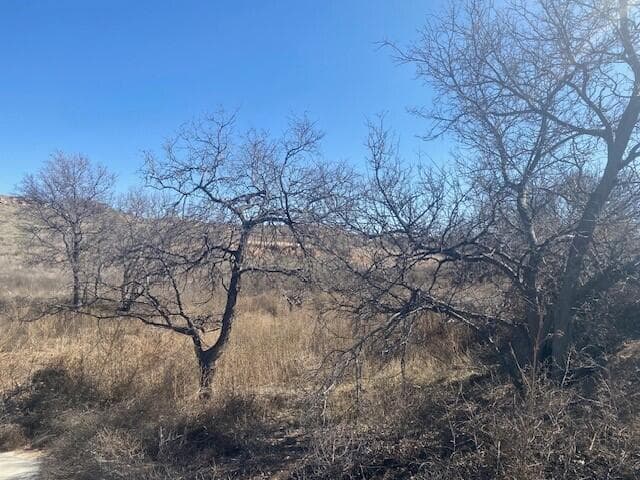 19101 ROCKY CREEK Drive, Canyon, TX 79015, photo 6