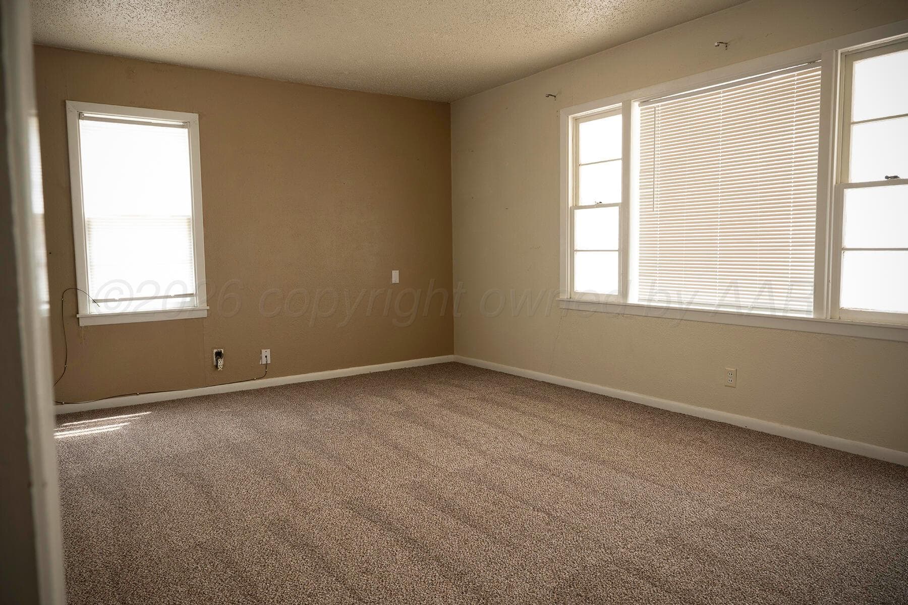906 NE 2ND, Dumas, TX 79029-3305, photo 5