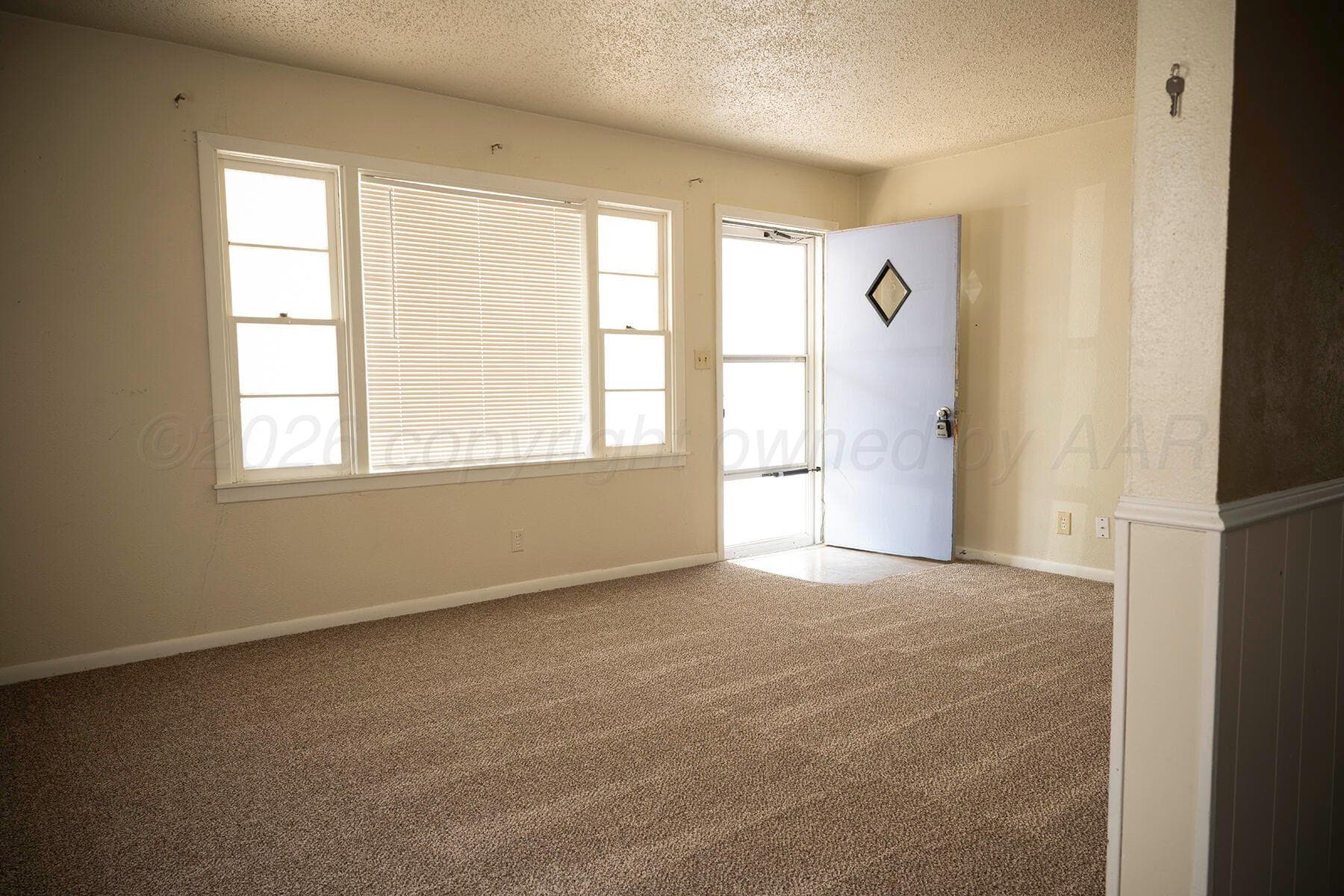 906 NE 2ND, Dumas, TX 79029-3305, photo 4