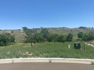 19100 COOL CREEK Drive, Canyon, TX 79015, photo 4