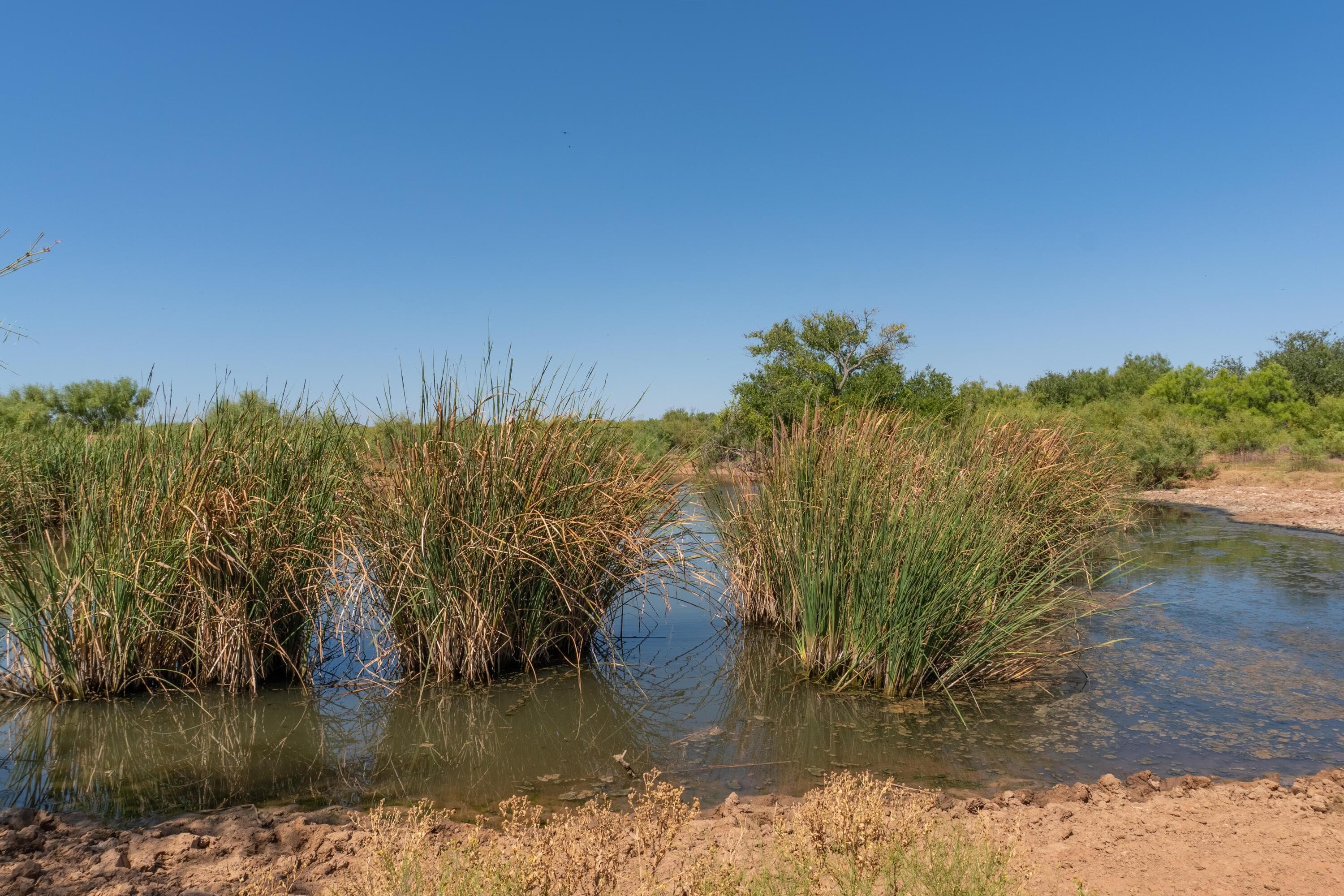 TBD County Road M, Childress, TX 79201, photo 33