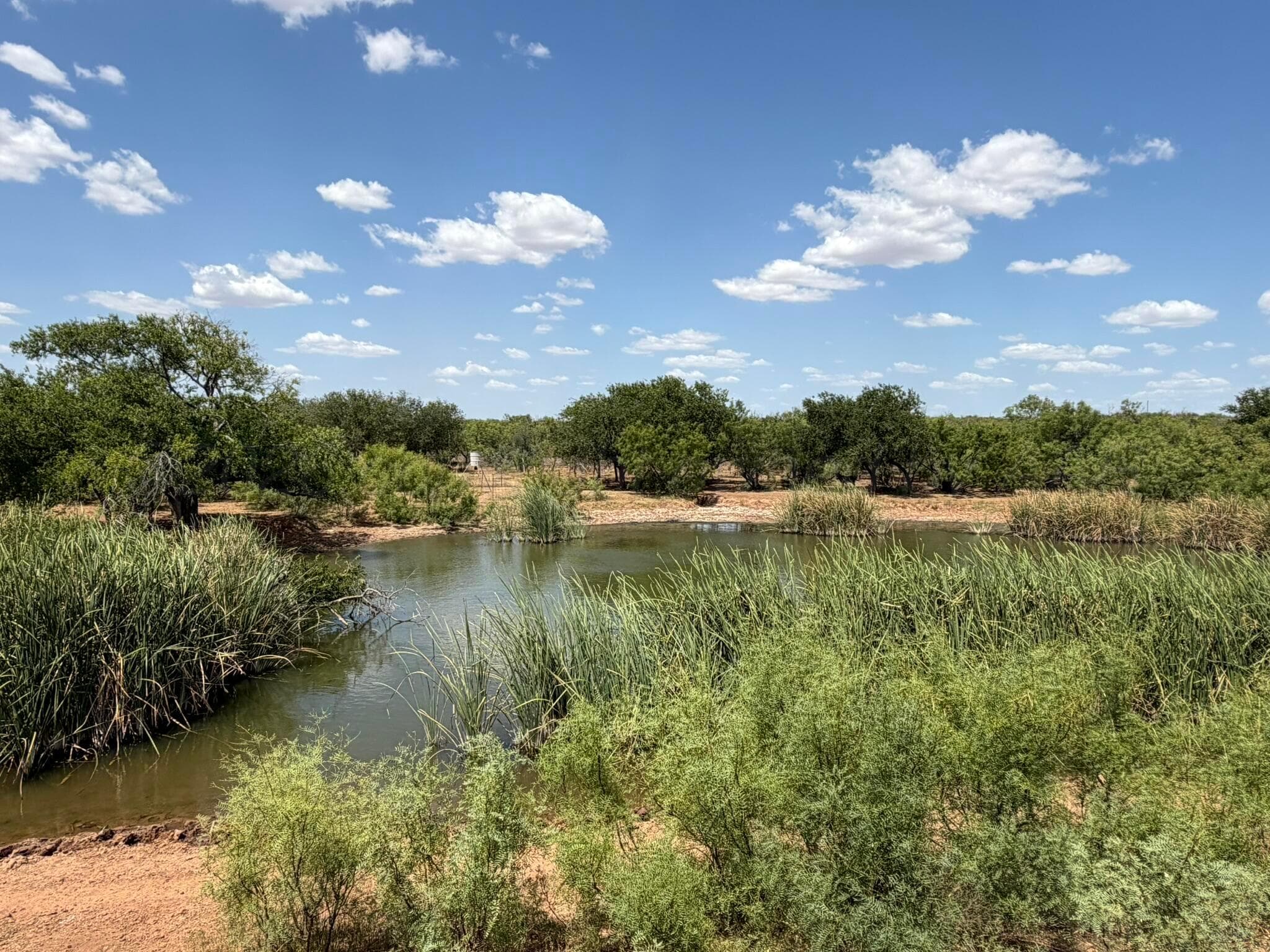TBD County Road M, Childress, TX 79201, photo 28