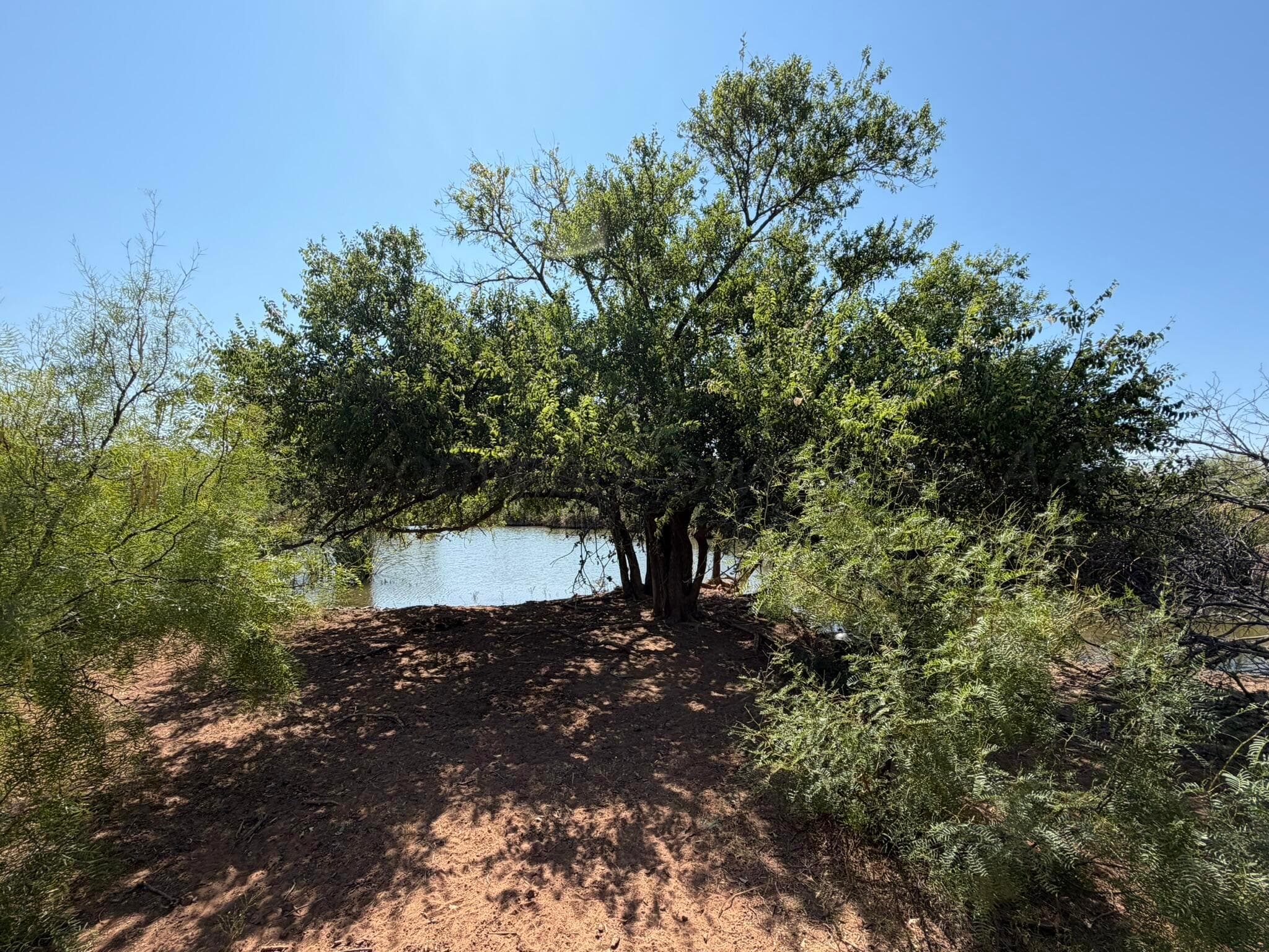 TBD County Road M, Childress, TX 79201, photo 31