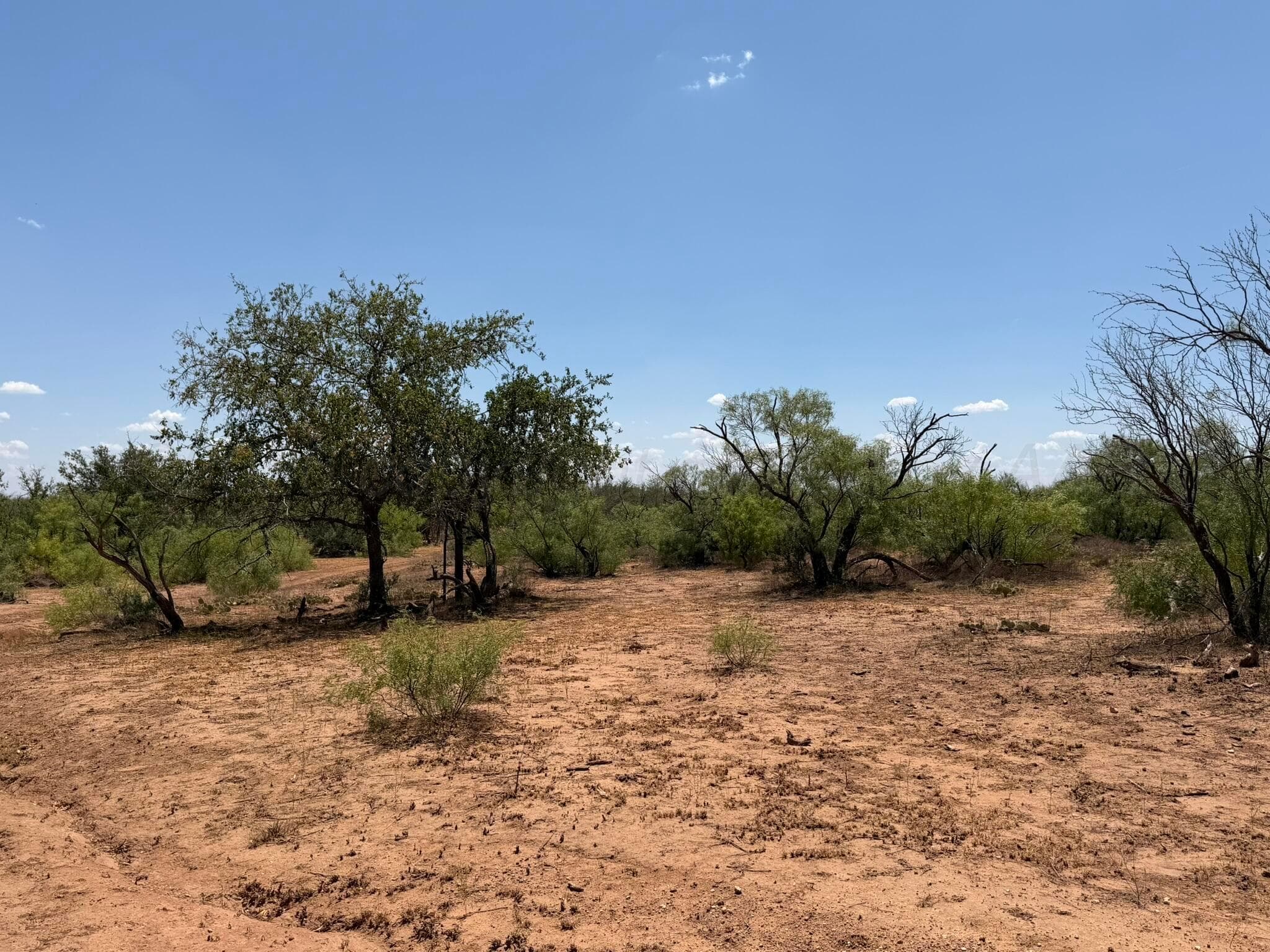TBD County Road M, Childress, TX 79201, photo 38