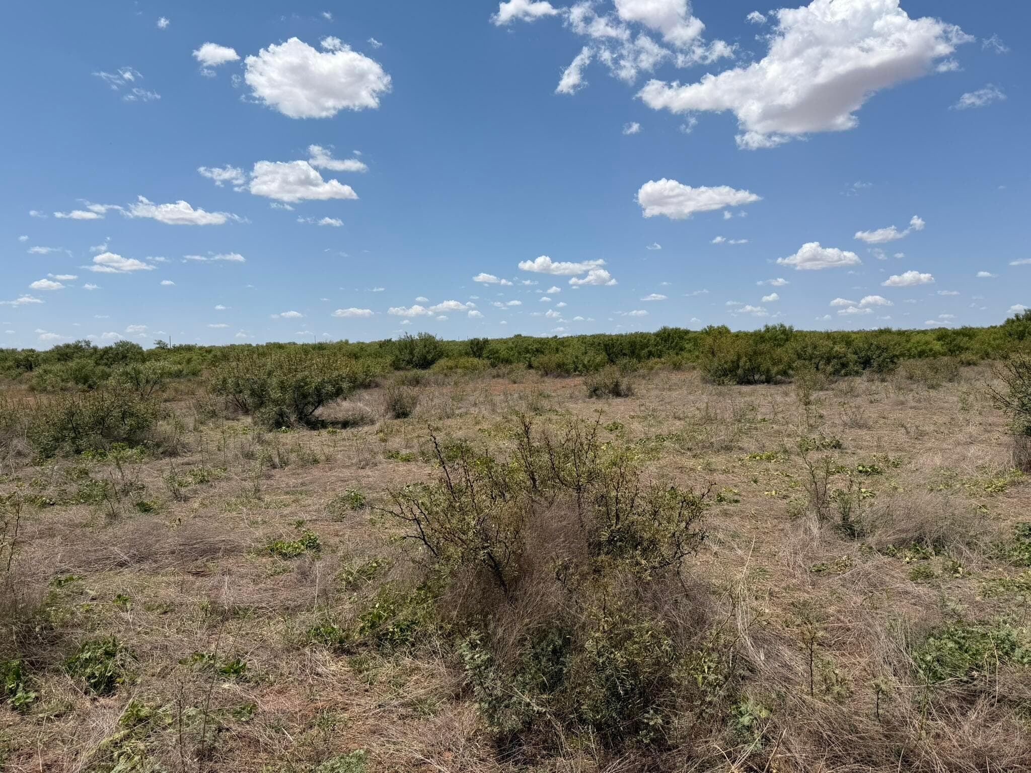 TBD County Road M, Childress, TX 79201, photo 39
