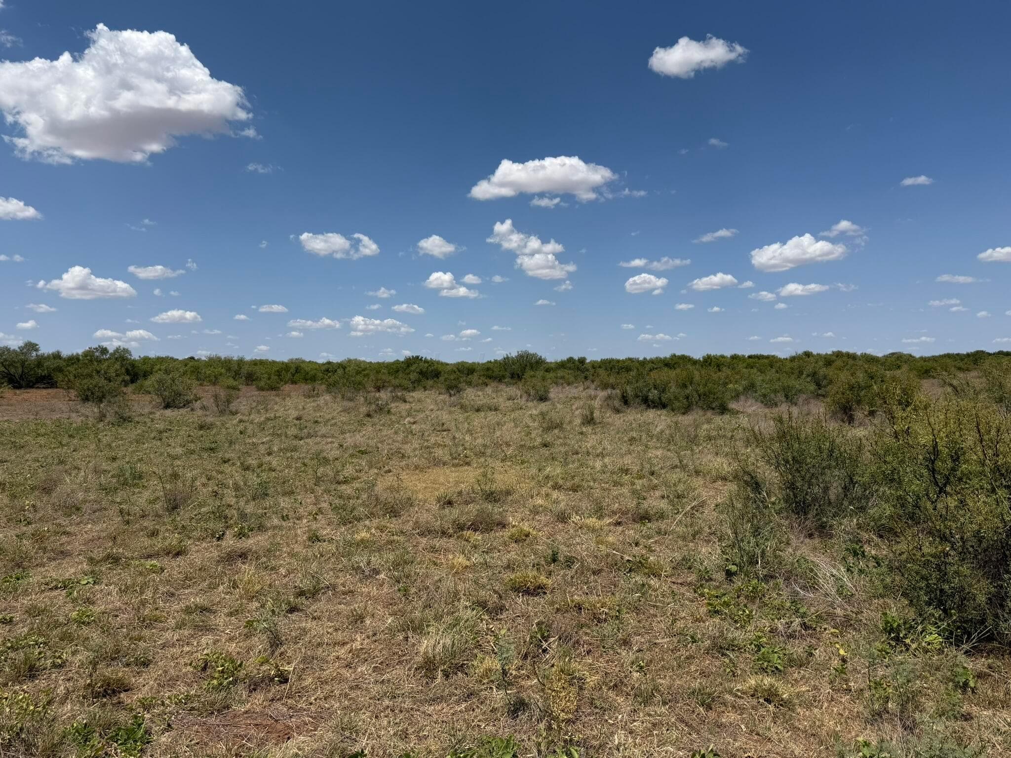 TBD County Road M, Childress, TX 79201, photo 40