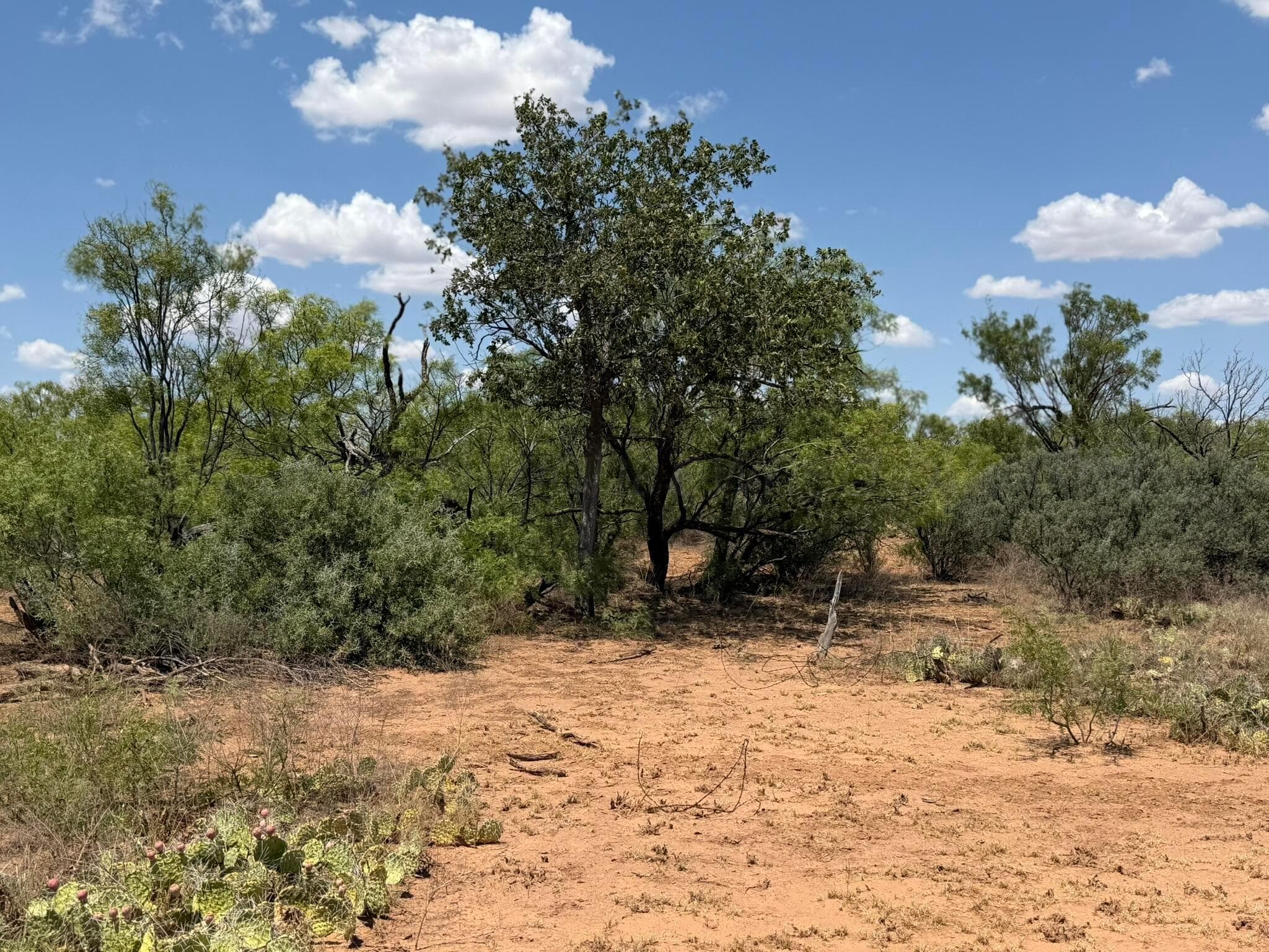 TBD County Road M, Childress, TX 79201, photo 43