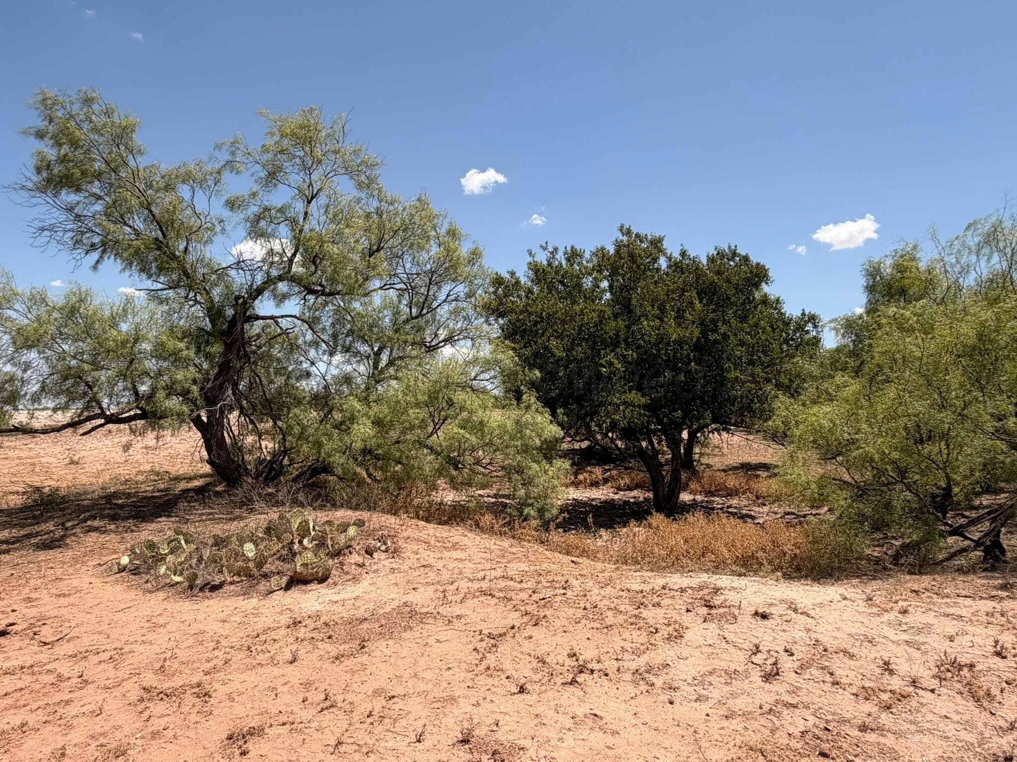 TBD County Road M, Childress, TX 79201, photo 45