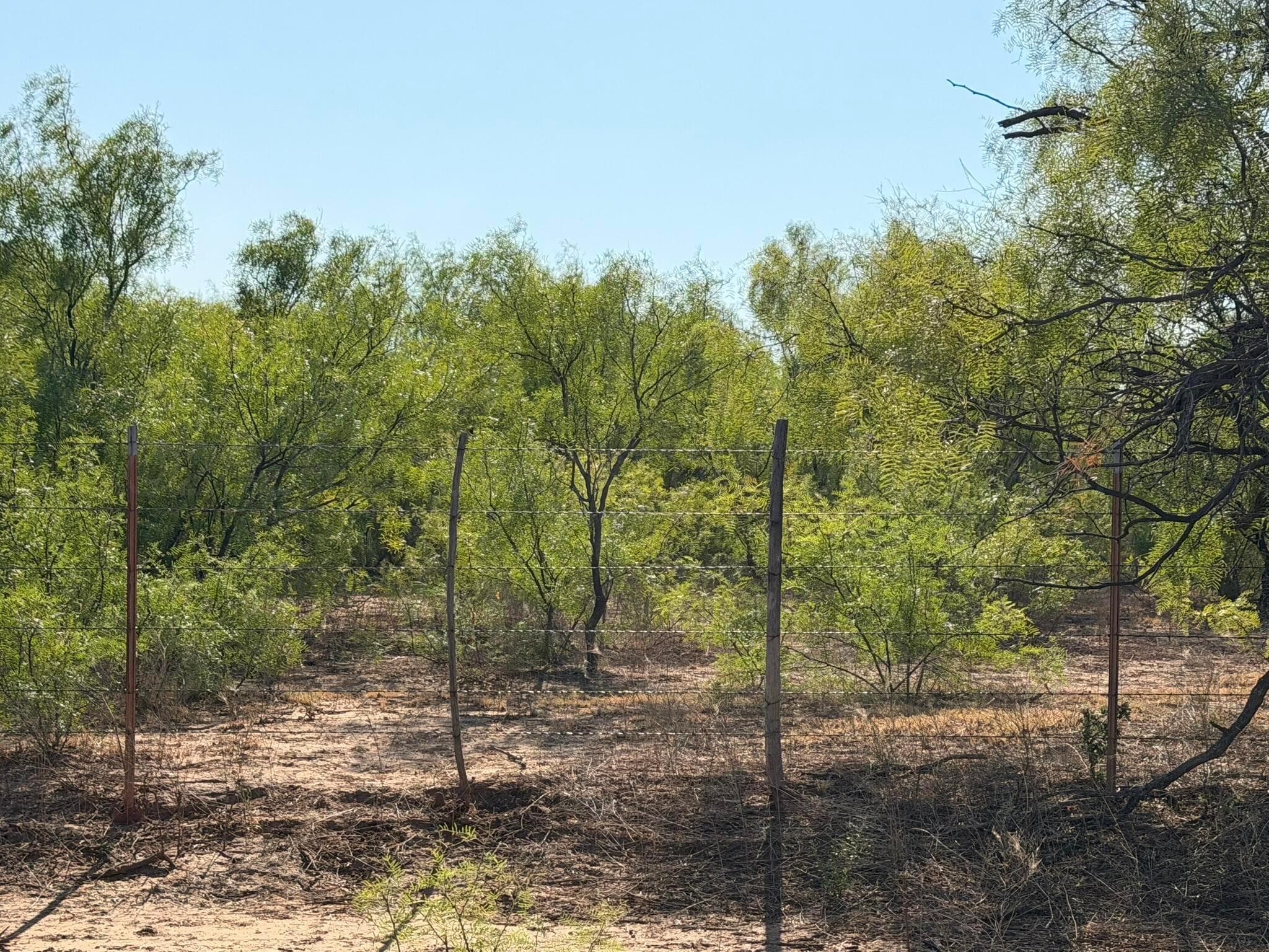 TBD County Road M, Childress, TX 79201, photo 24