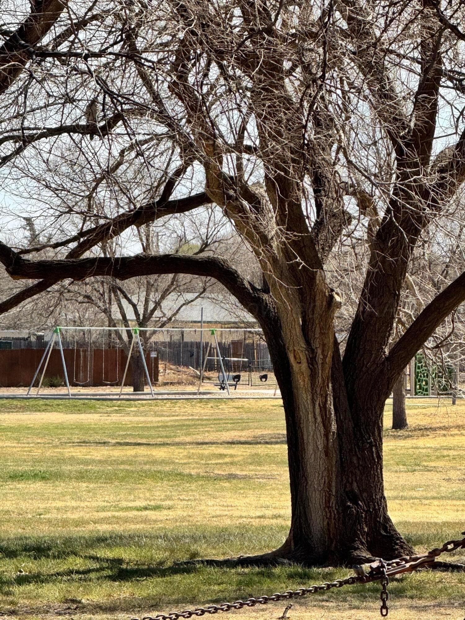 514 Park Avenue, Amarillo, TX 79108, photo 27