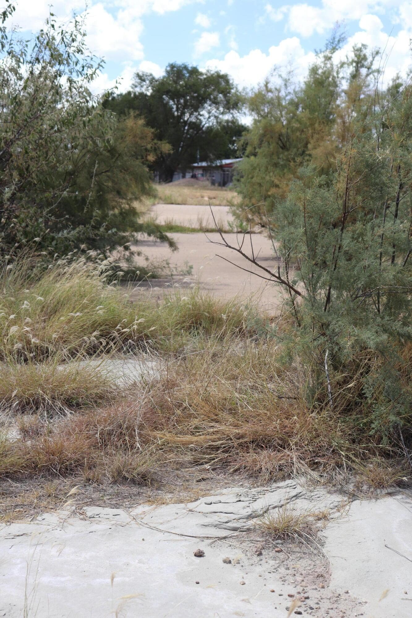 138 Roadrunner Lane, Conchas Dam -NM, NM 88416, photo 56