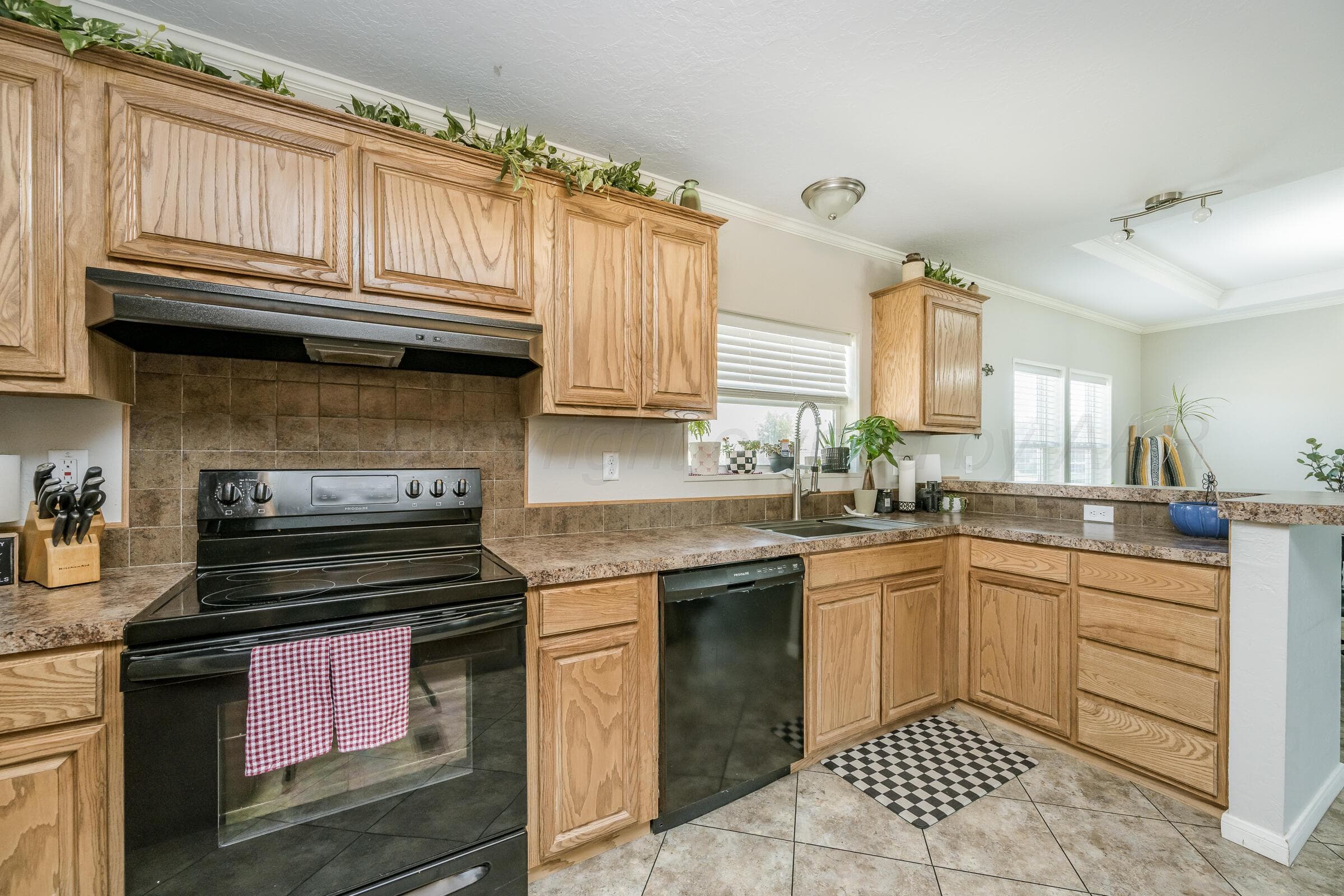 103 E 4th Street, Wildorado, TX 79098, photo 6