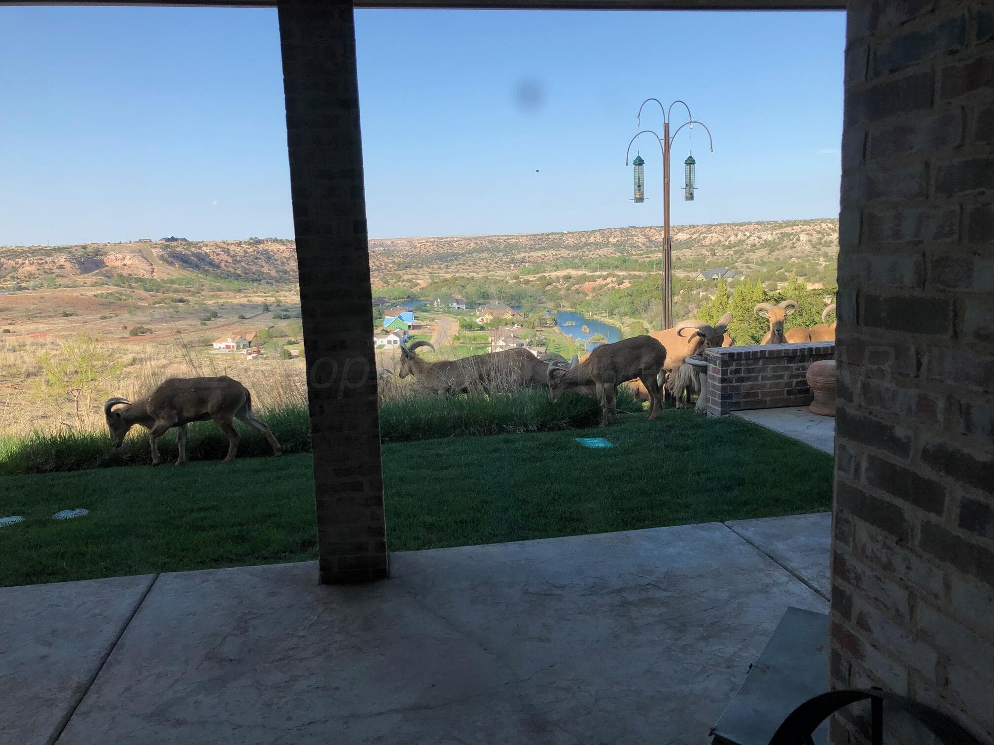 103 RANCH Parkway, Canyon, TX 79015-6918, photo 100