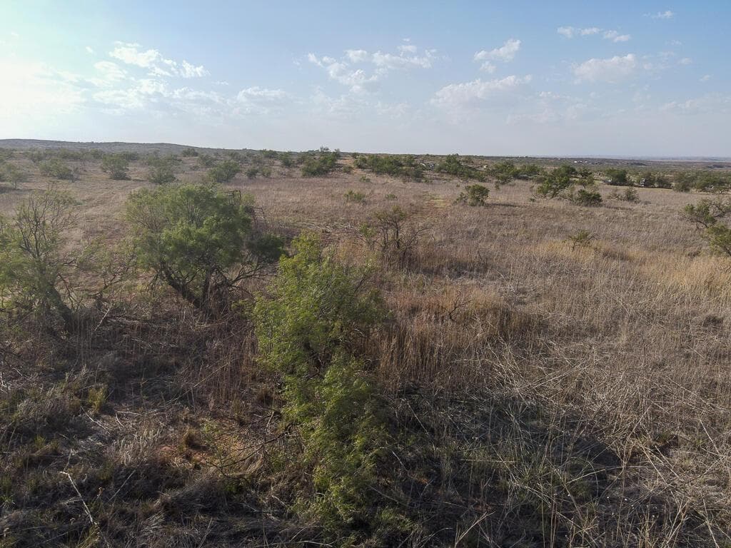 0 Tr 24 DAVISON Drive, Valle de Oro, TX 79124, photo 3