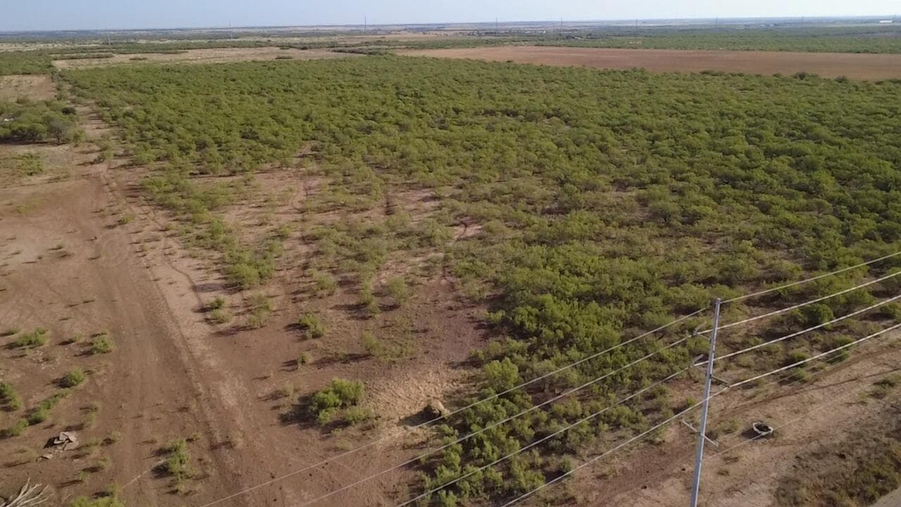 Mayfield Road, Amarillo, TX 79252, photo 2