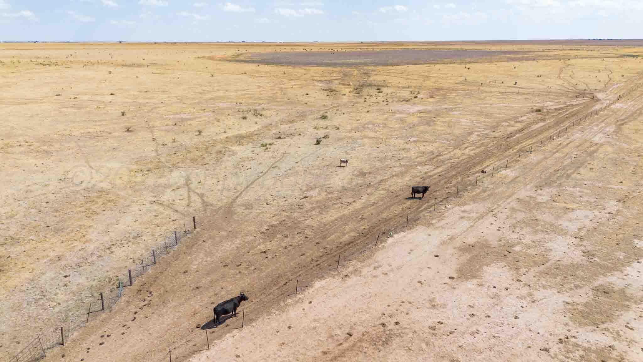 Buffalo Lake Rd. Auction, Canyon, TX 79015, photo 12
