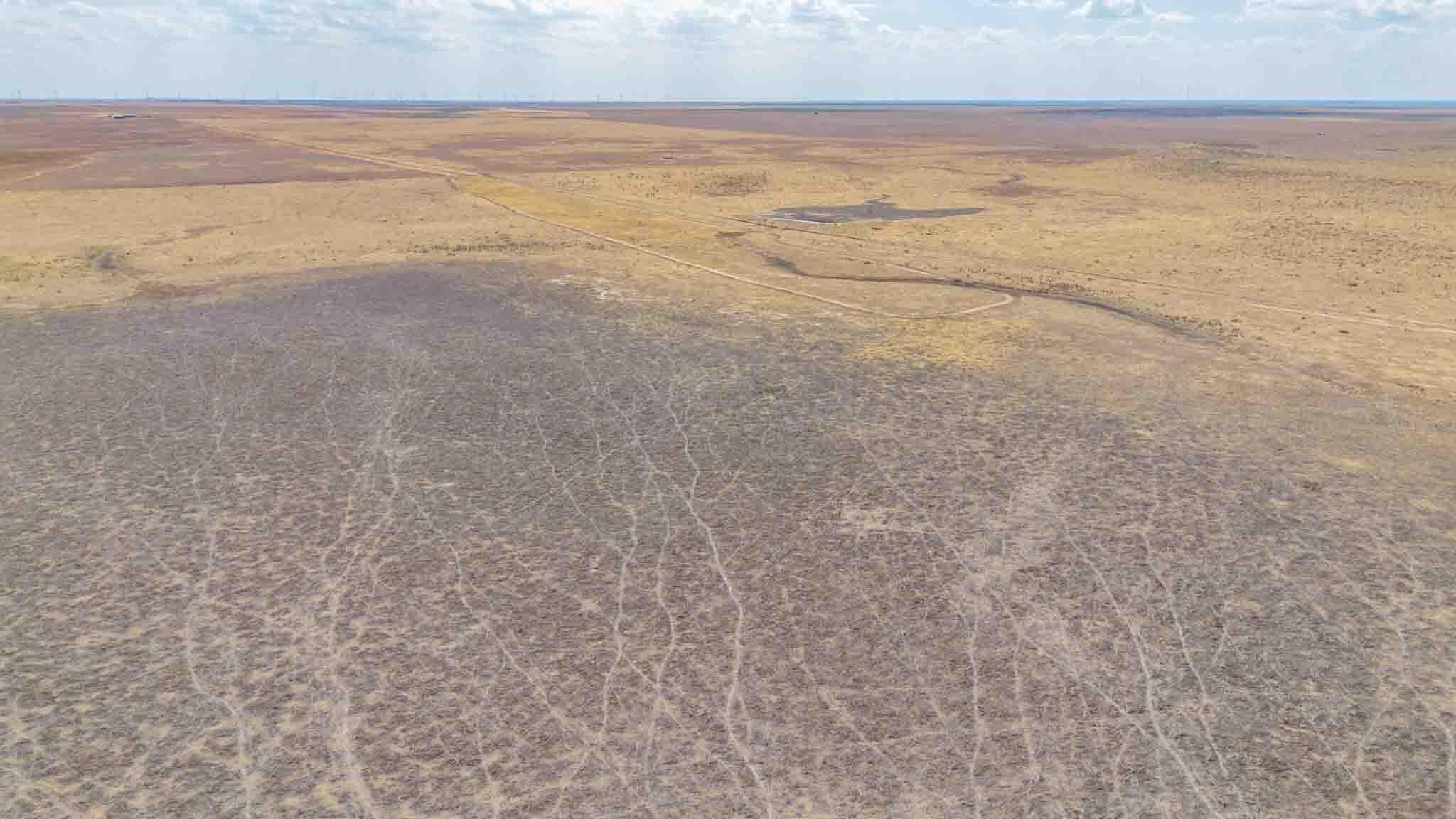 Buffalo Lake Rd. Auction, Canyon, TX 79015, photo 16
