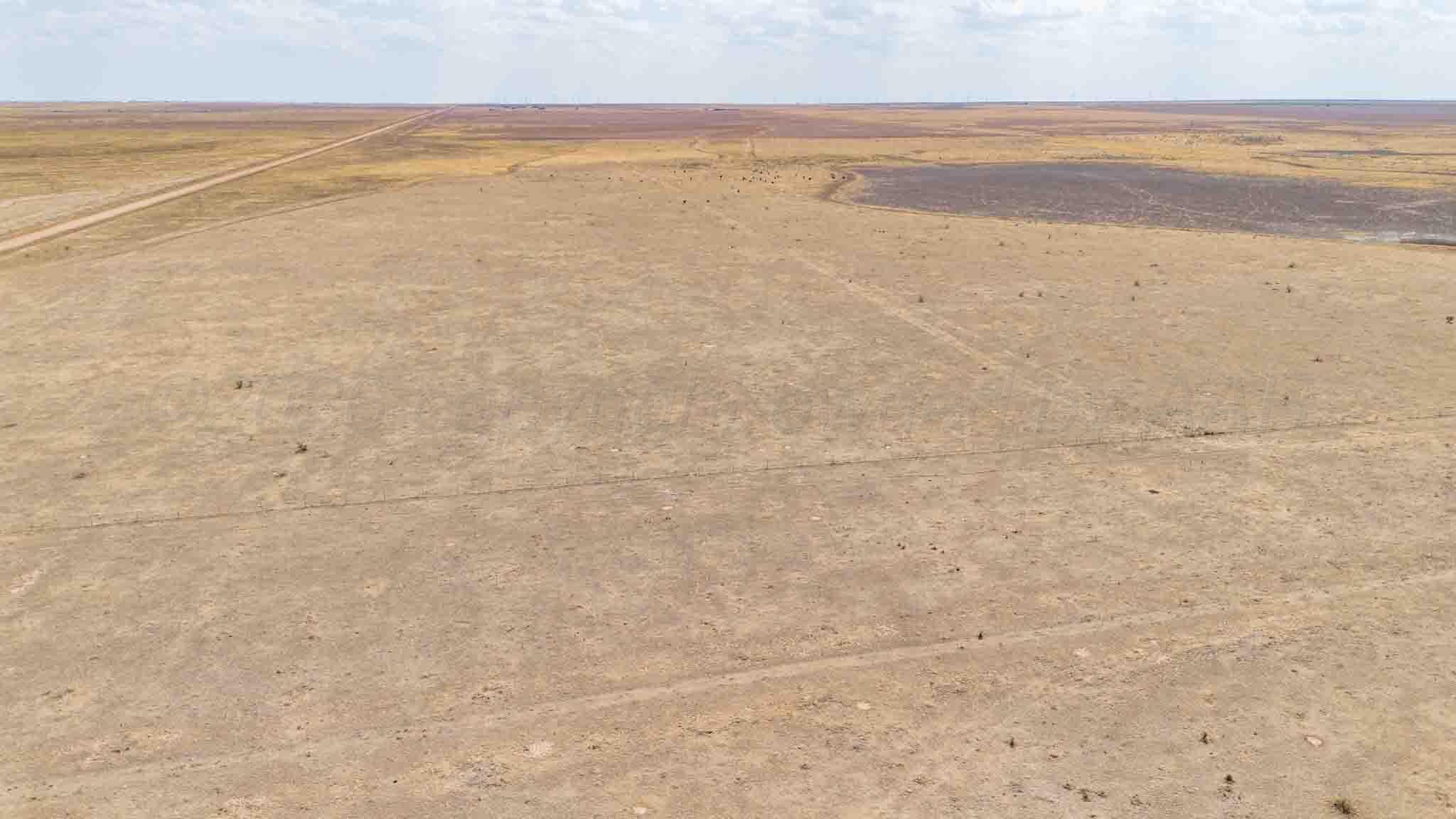 Buffalo Lake Rd. Auction, Canyon, TX 79015, photo 18