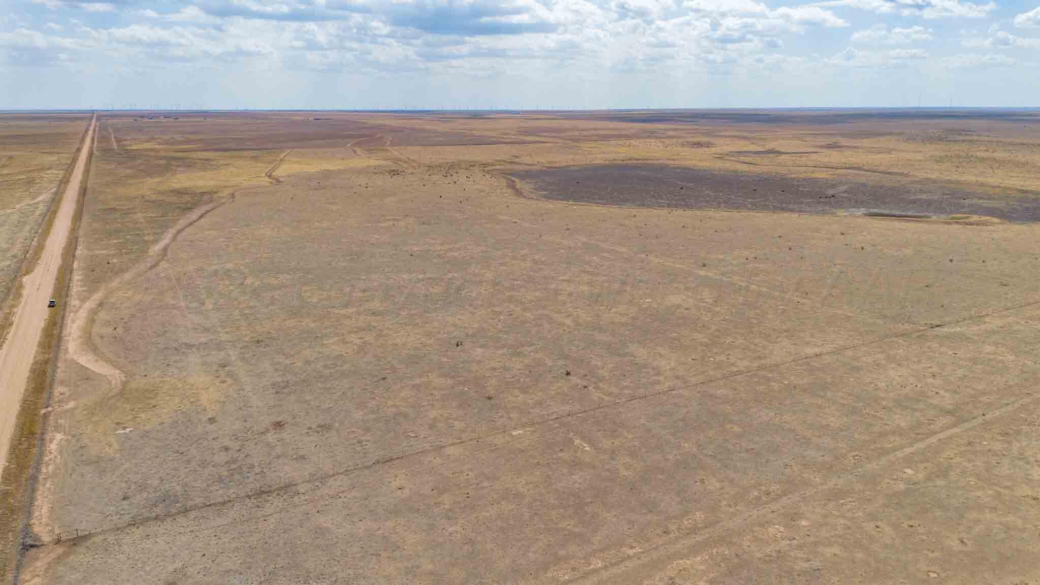 Buffalo Lake Rd. Auction, Canyon, TX 79015, photo 22