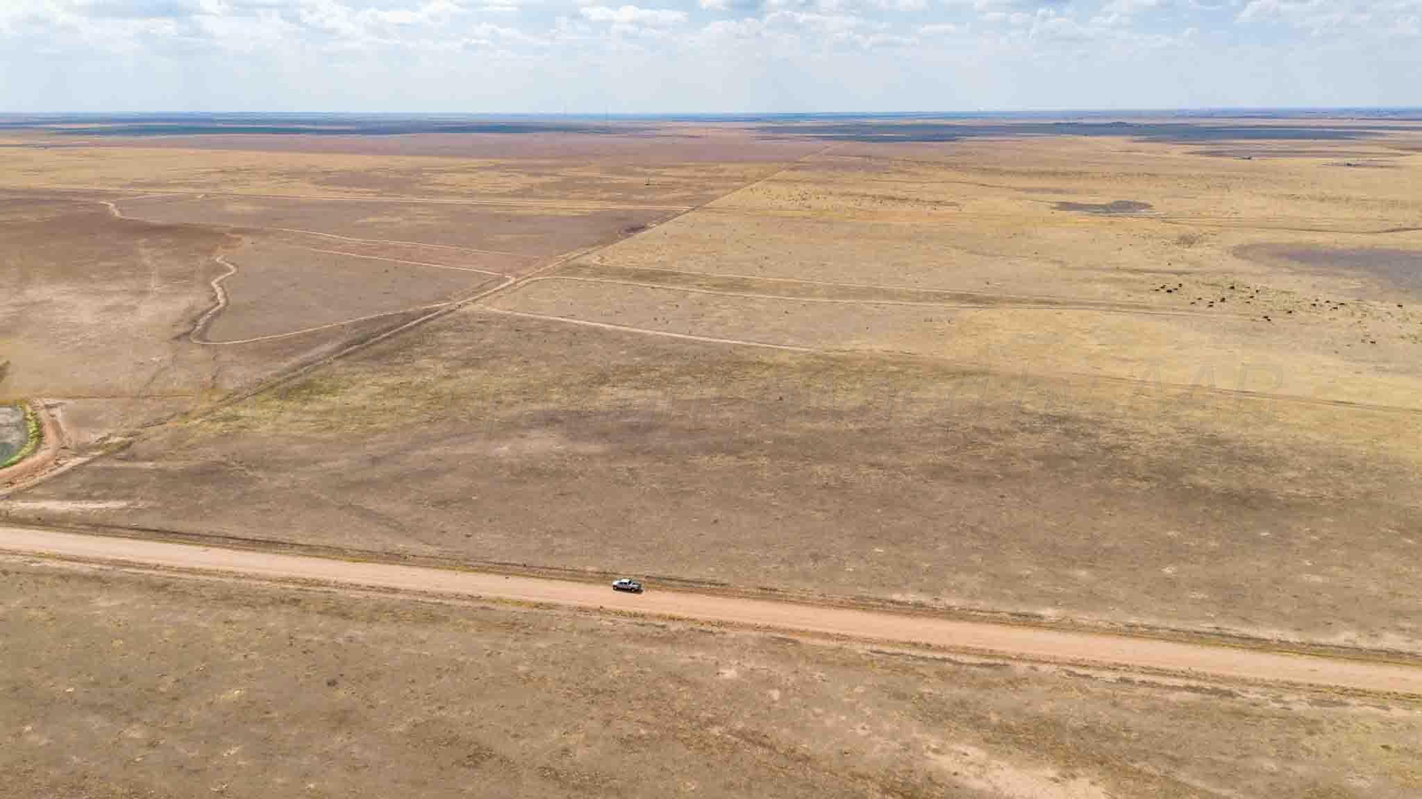 Buffalo Lake Rd. Auction, Canyon, TX 79015, photo 34