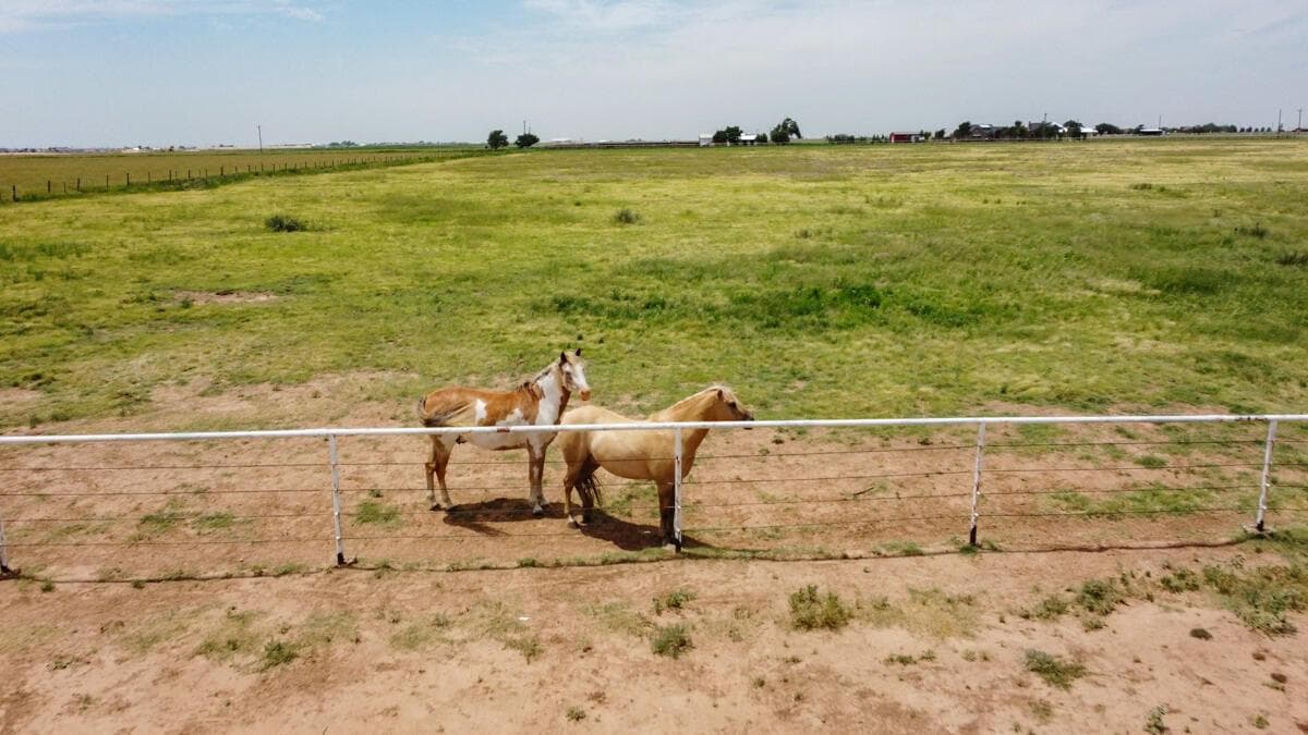 21401 Hope Rd. ±340ac, Canyon, TX 79015-5728, photo 153
