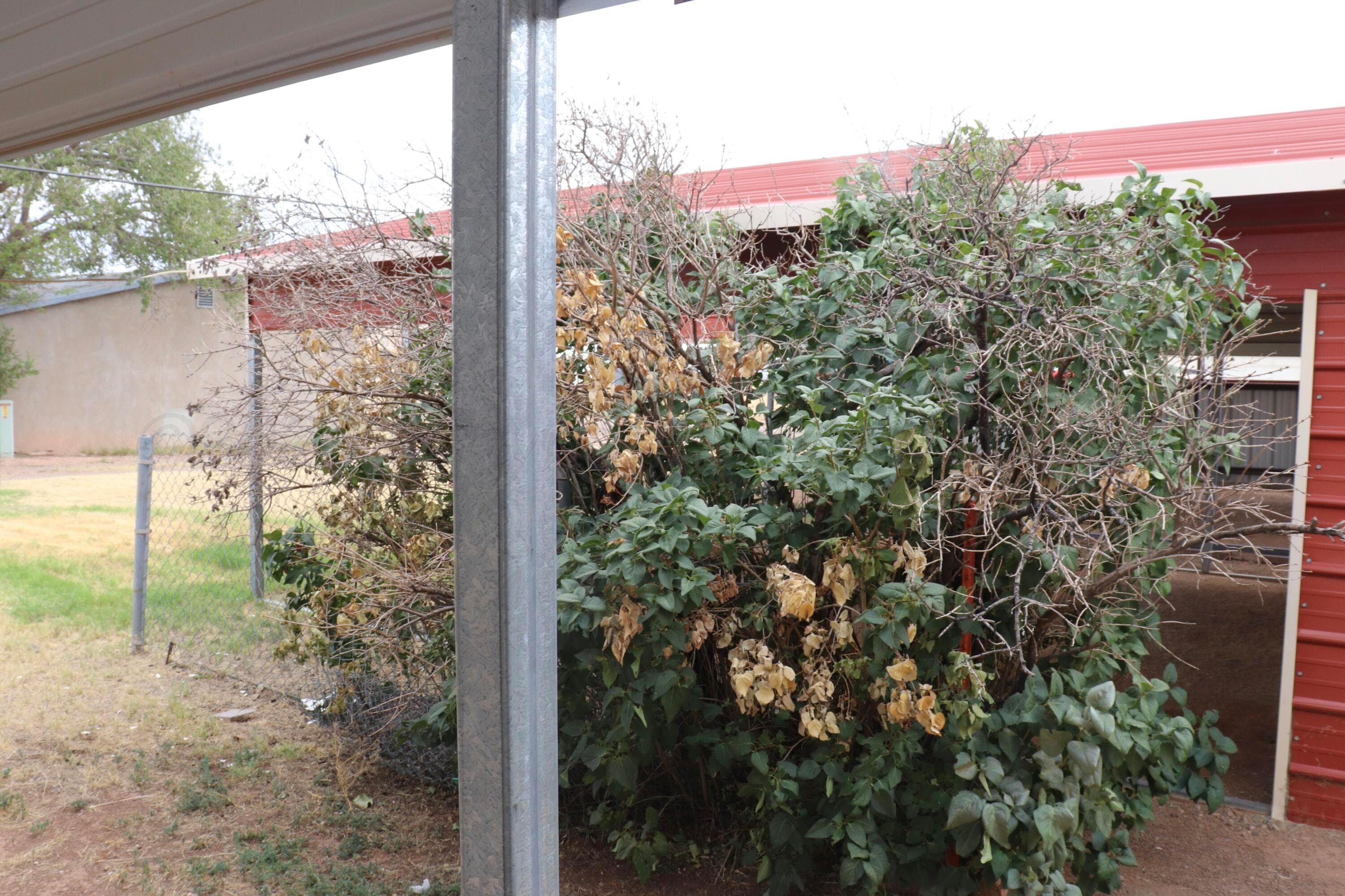 2120 S 2nd St. and 2124 S. 2nd Street, Tucumcari, NM 88401, photo 16