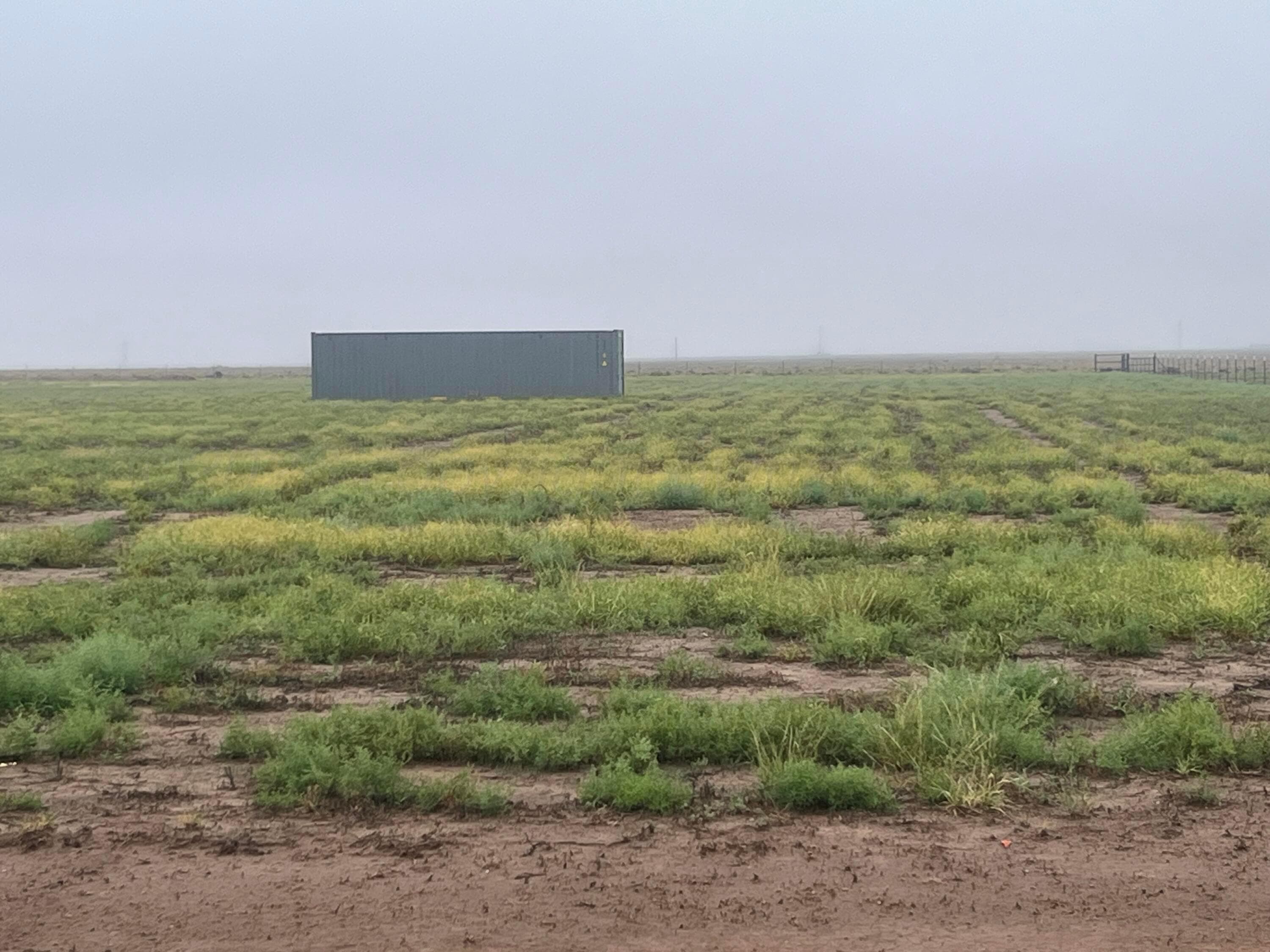 19500 W Farmers Avenue, Amarillo, TX 79124, photo 2