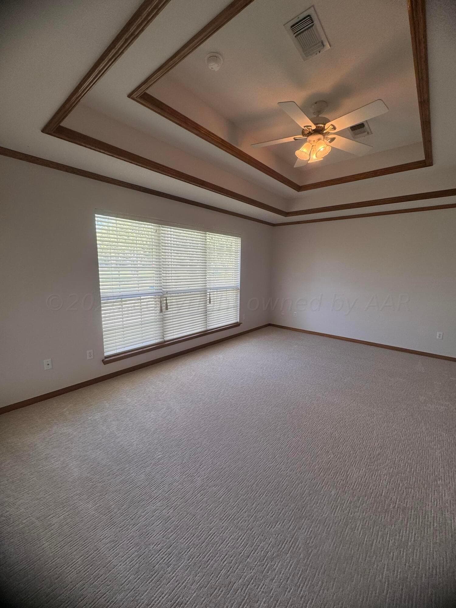 55 COTTONWOOD Lane, Canyon, TX 79015, photo 14
