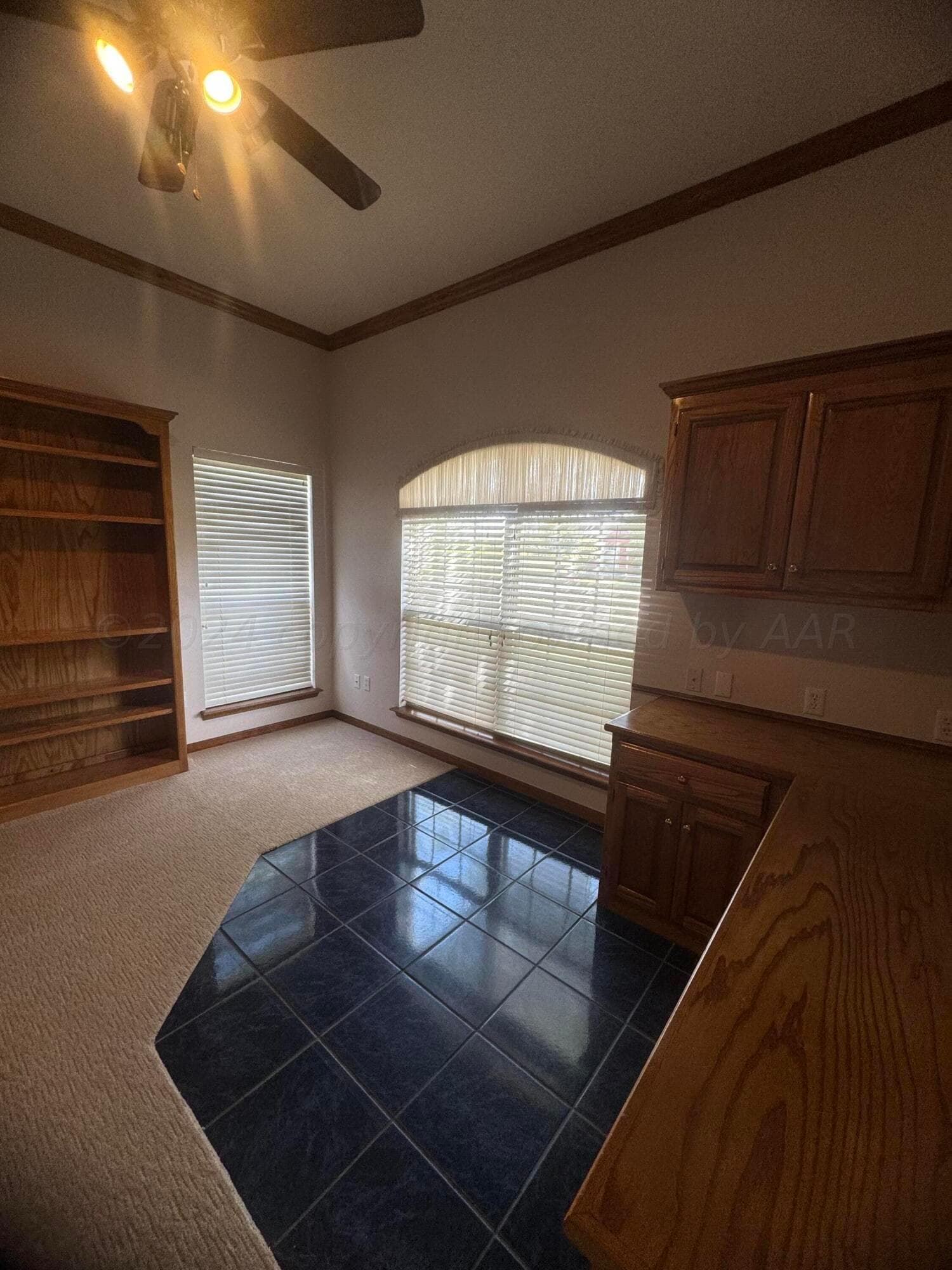 55 COTTONWOOD Lane, Canyon, TX 79015, photo 38