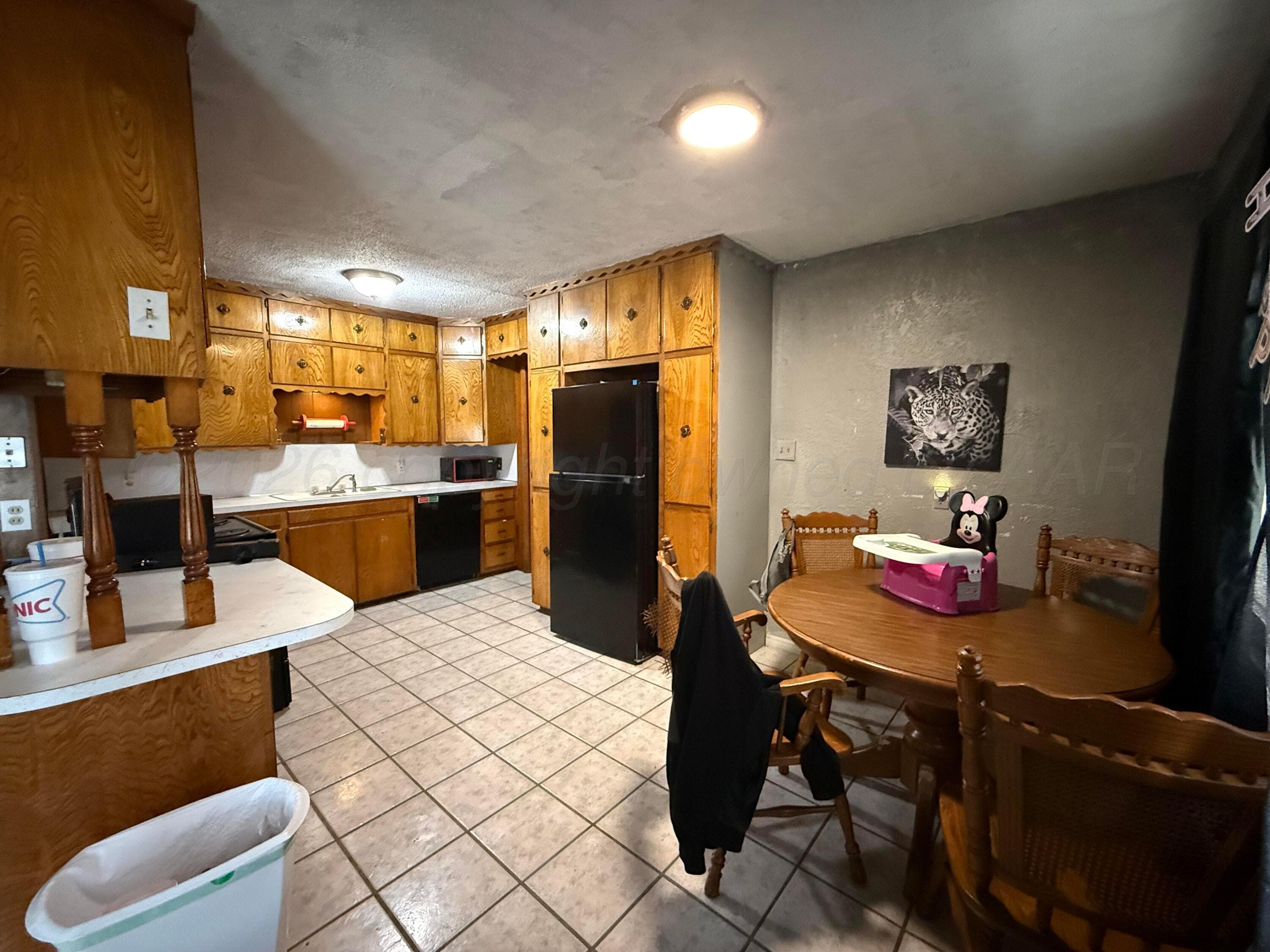 2 Home Property Portfolio, Borger, TX 79007, photo 24